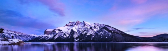 screenshot 16 2 2026 94139 www.bing.com